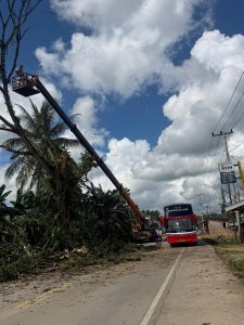 Sinergi di Jalur Trans Sulawesi: PT VDNI Terjunkan Crane Bersihkan Pohon Rawan Tumbang di Morosi