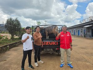 Aroma Kekecewaan di Balik Sapi Kurban PT VDNI: Anggota Sekar Desak Kongres Luar Biasa untuk Ganti Ketua